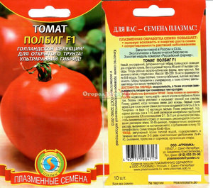 Плазменная подготовка