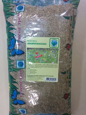 Газонная трава мятник 