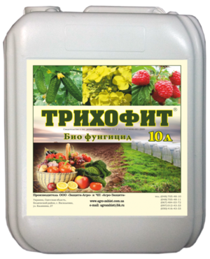 Классификация фунгицидных препаратов