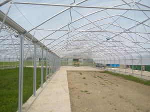 Какой толщины поликарбонат лучше использовать для теплицы