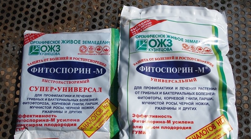 Описание и принцип действия Фитоспорина