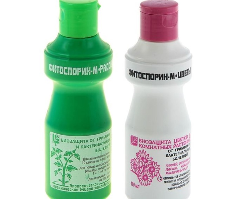 Фитоспорин М в жидкой форме