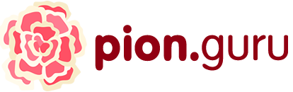 pion.guru