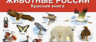 красная книга